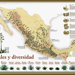 Agaves de Mexico map