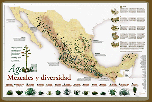 Agaves de Mexico map