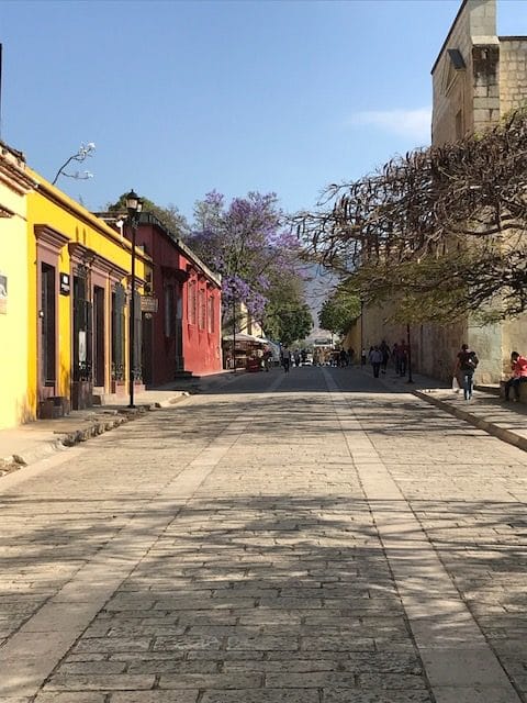 Mezcalification in Oaxaca
