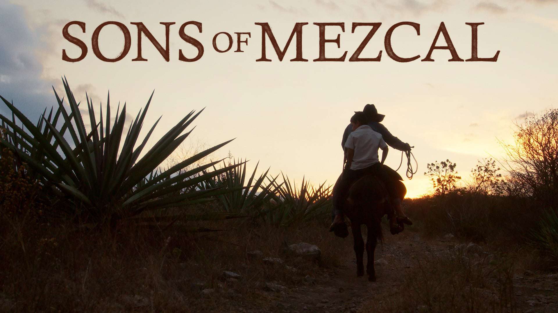 Sons of Mezcal
