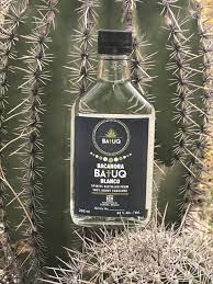 Batuq Blanco 2018