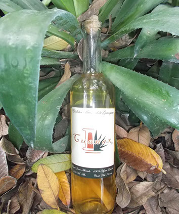 Mezcal Abocado Cuanax