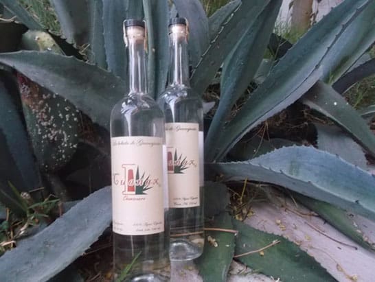 Mezcal Blanco Cuanax