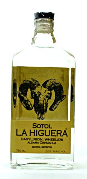 Sotol La Higuera Wheeleri