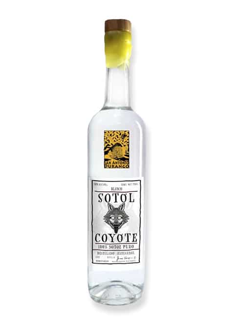 Sotol Coyote Durango