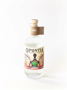 Opuntia