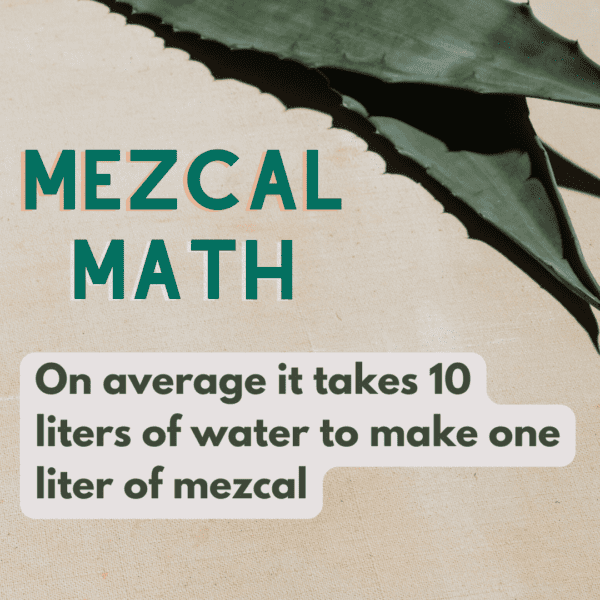 ,On average it takes 10 liters of water to make one liter of mezcal