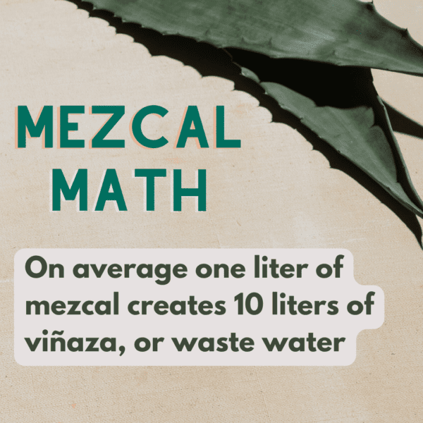 ,On average one liter of mezcal creates 10 liters of viñaza, or waste water