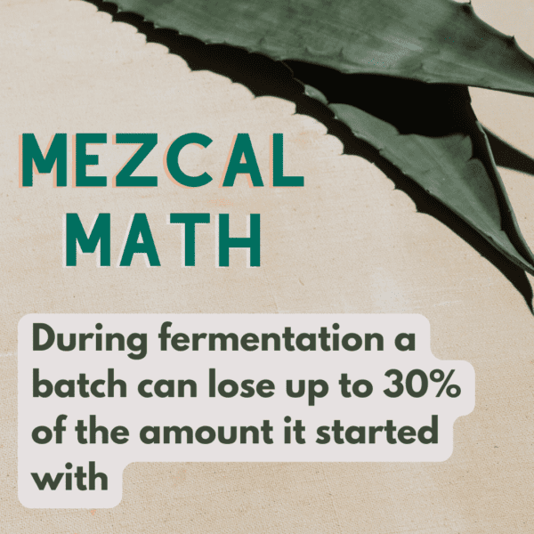 ,On average, during fermentation a batch can lose up to 30% of what it started with