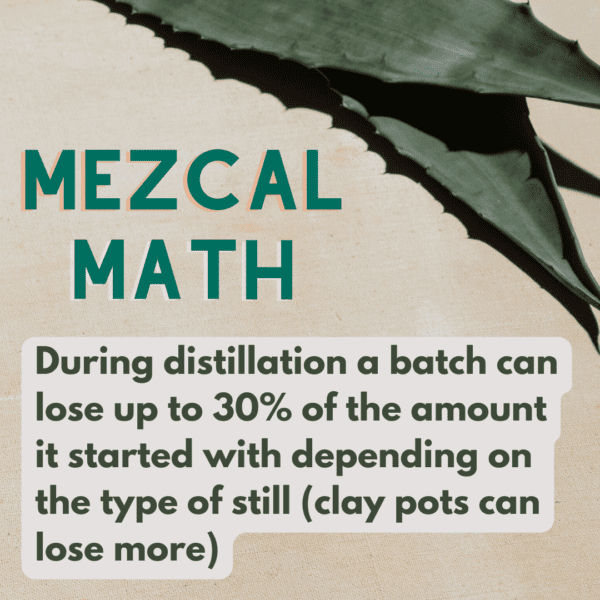 ,During distillation, a batch can lose up to 30% of production depending on the type of still (clay pot distillation loses more than copper)