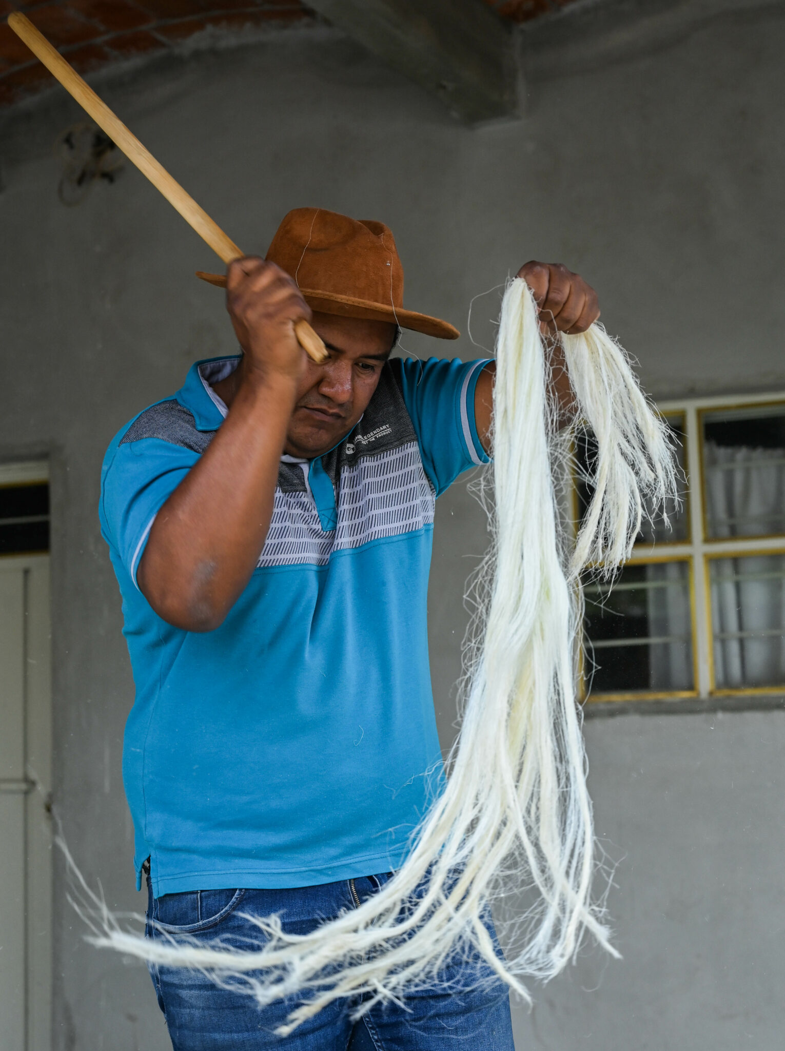 The revival of agave fibers in design – Mezcalistas