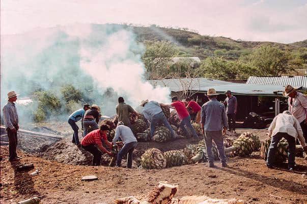What is a tequio? Here we see people helping with a tepada, or agave cook.