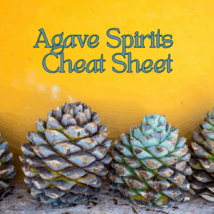 Agave spirit cheat sheet: regional mezcal categories
