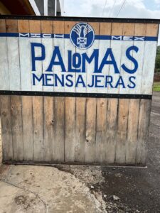 A visit to Michoacán’s Palomas Mensajeras