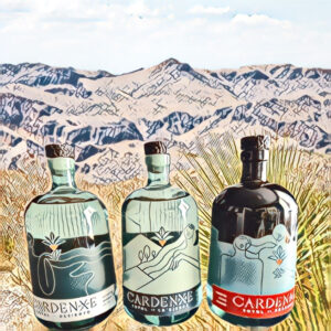 An easy at-home sotol tasting and pairing