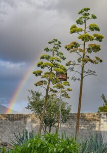 What the big AP story missed: Hope in Mexico