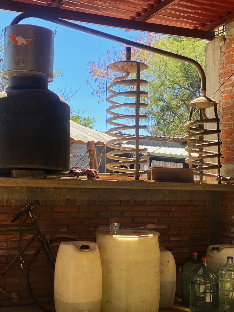 A Oaxacan mezcal still with a refrescadera