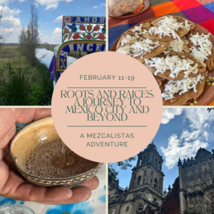 Mexico City and beyond: A new Mezcalistas tour experience